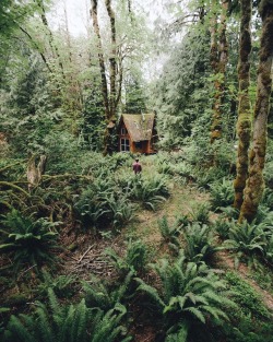 wild-cabins:  Jacob Witzling