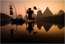 By the day’s last light (Cormorant fisherman, China)