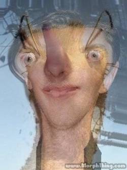 nyehs:  I FUCKIGNN MORPHED SYD FROM ICE ASGE WITH BENEDICT CUMBERBATCH