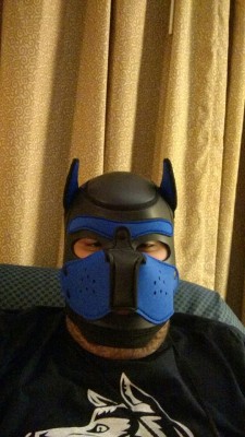Trying out the new neoprene hood from Mr.S leathers. I think