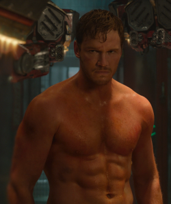 kncholitar:  thatseroticman:  russtifer: Chris Pratt in Guardians