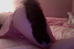 kittengrl:  I’m sorry i just really love pink and my tail 