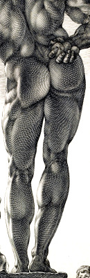 givemesomesoma:  Hendrick Goltzius  Farnese Hercules (detail)