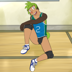 Volleyball Pokedude Pinup - ChespinSo moving on back to pokemon
