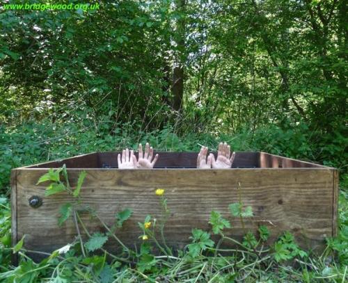 Prison Box in the outdoors.