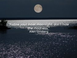 quotes:  Follow your inner moonlight; don’t hide the madness.