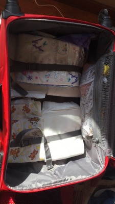 lovewomeninnappies: dlgirl81:  Essentials packed   A girl can