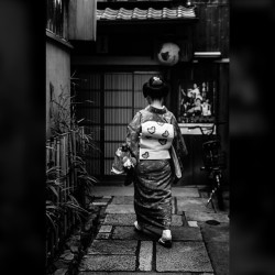 geisha-kai:  Maiko Ichiteru at Pontocho’s back street by @umedust