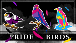magicalshopping: ♡ Pride Birds Enamel Pins ♡ Available