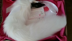 rydenarmani:i’m squealing! my kittensplaypenshop order just