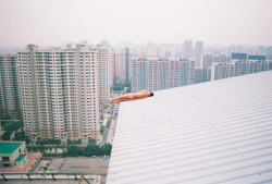 kateoplis:  On top of the world, Ren Hang 