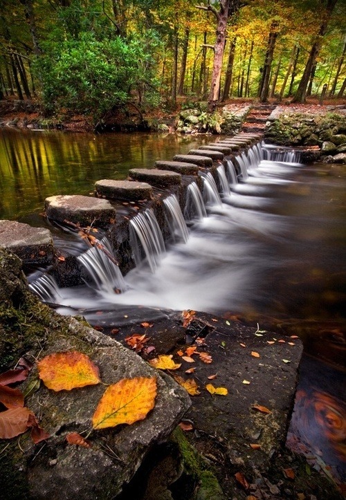 Step lightly (creek crossing in Tollymore, Ireland)