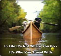 Pick a happy travel companion