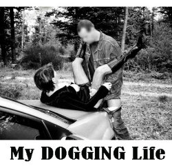 doggingsverige.tumblr.com/post/81053963295/