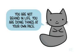 positivedoodles: [drawing of a gray cat saying “You are not