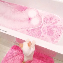 strawberrrryred:  bath time!