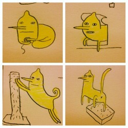 stephcoathupe:  Drawin some lemongrab cats and kind of freaking