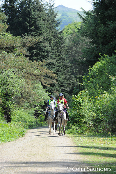 <p>Riders on the homeward bound route of the Cwm Sirhywi Ride 29.05.2016. This is the forestry trail showing a backdrop of Mynydd Machen.<br/></p>