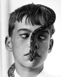 catastrophiceli:Boy with a python on his face, August 1969.