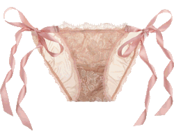 transparent-lingerie:  Hanky Panky briefs