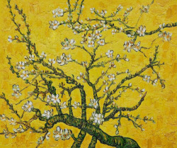 goodreadss:    Branches of an Almond Tree in Blossom, Vincent