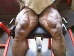 Muscle Motivation