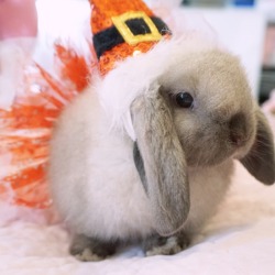 momotokio:  Santa bun knows if you have been naughty or nice!