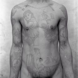 sleepatnights:  Photograph of tattooed criminal ‘Fromain’,