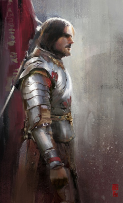 shinmakoss:  Knight by Donglu 