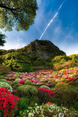 bojrk:  Japan: Mifuneyama Gardens in Takeo, Saga. 