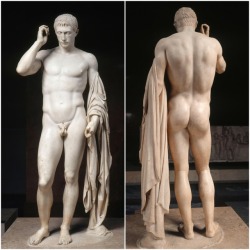 pelusian:   Portrait of Marcellus     This sculpture, acquired