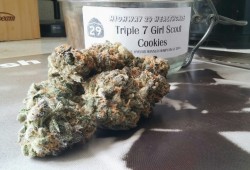 shesmokespurple:  Triple 7 Girl Scout Cookies from Highway 29