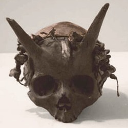 Several human skulls with horns protruding from them were discovered