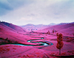 ryandonato:  Infrared landscapes by Richard Mosse 
