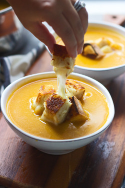 verticalfood:  Butternut Squash, Apple Cider, and Cheddar Soup