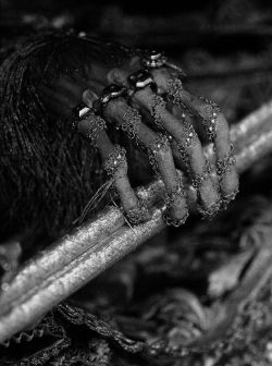 angelicmutilation:  Skeletal hand of St. Valentine. 