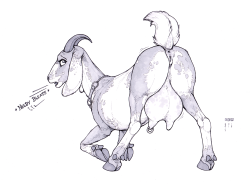 Chamomile, my goat OC who i hadn’t drawn in like 6 years *tearful