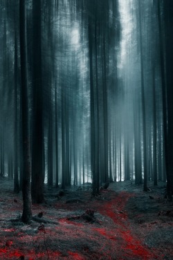 0ce4n-g0d:  The Path of The Forgotten by Adrian Borda 