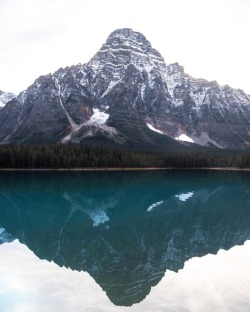 tannerwendellstewart:mount chephren. waterfowl lakes. banff.