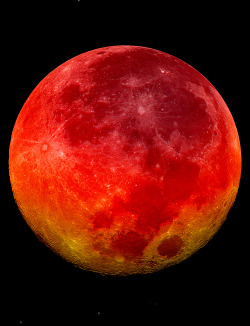 the-science-llama:  Lunar Eclipse— June 16, 2011Credit: Joseph