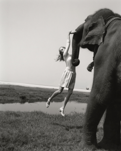 mpdrolet:  Elisabeth Toll