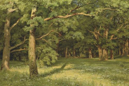 painter-shishkin:  The Forest Clearing, 1896Ivan Shishkin