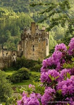 our-amazing-world:  Eilean Donan Castle Amazing World beautiful