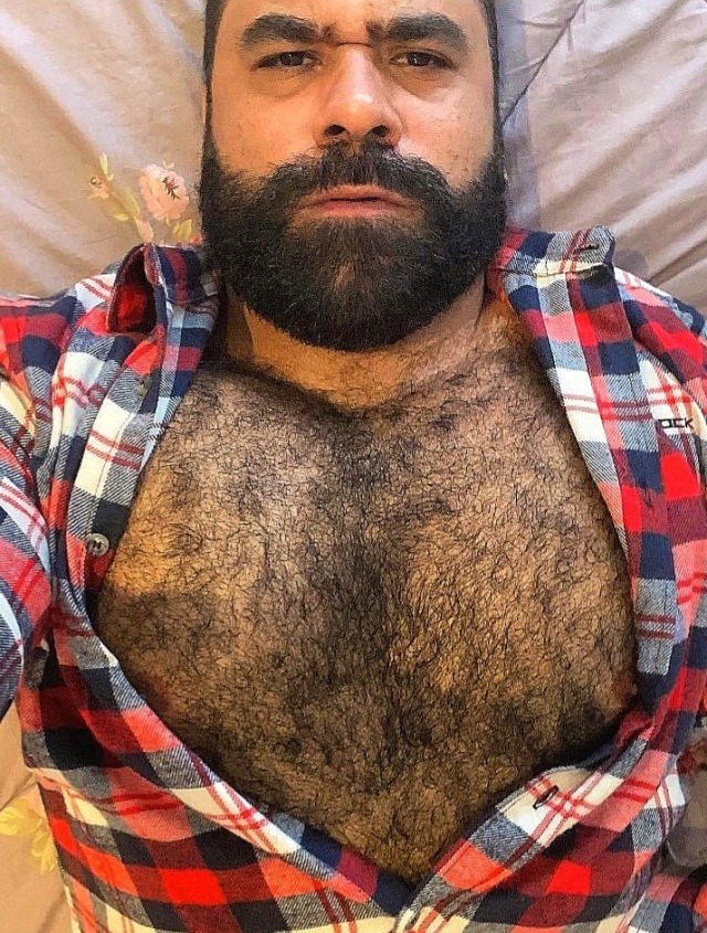 bigbearbrasil: