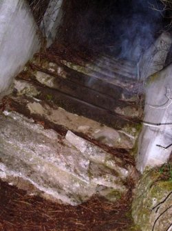 odditiesoflife:  The Haunted 1000 Steps at Greenwood Cemetery