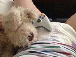 littleadventuring:  Played some Xbox but got thirsty. Fritz suggested