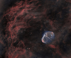 just–space:  The Crescent Nebula  by Steve Furlong js