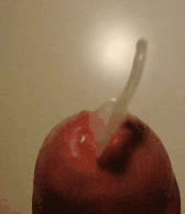 bigfred65:  LET IT FLOW!
