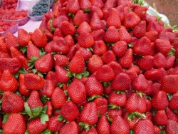 🍓🍊🍓🍊🍓🍊 // marrakesh, morocco