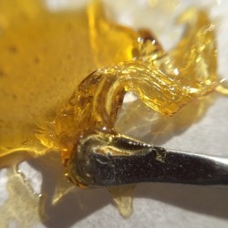 weedporndaily:  That Master Yoda Kush shatter …fuckin bomb